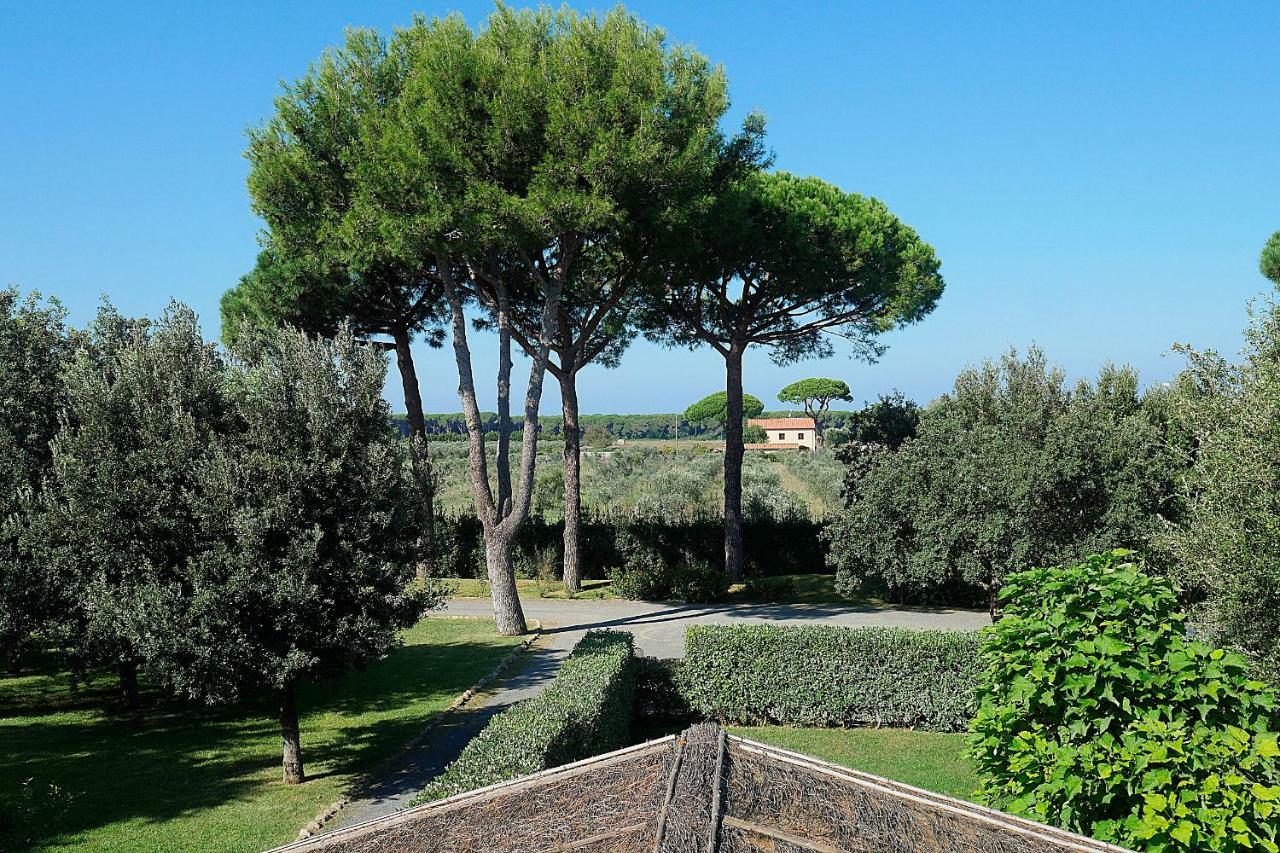 Agriturismo Il Pelago Castagneto Carducci Ngoại thất bức ảnh